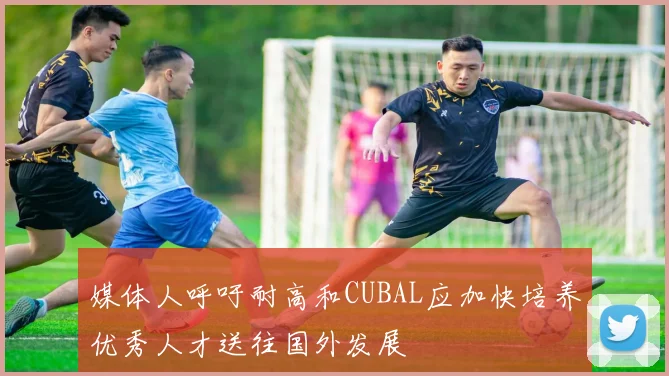 媒体人呼吁耐高和CUBAL应加快培养优秀人才送往国外发展