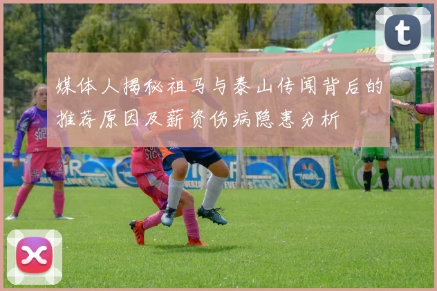 媒体人揭秘祖马与泰山传闻背后的推荐原因及薪资伤病隐患分析