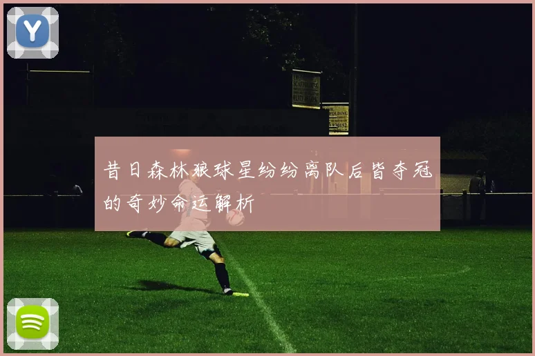 昔日森林狼球星纷纷离队后皆夺冠的奇妙命运解析