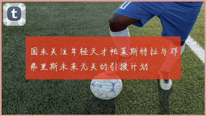 国米关注年轻天才帕莱斯特拉与邓弗里斯未来无关的引援计划