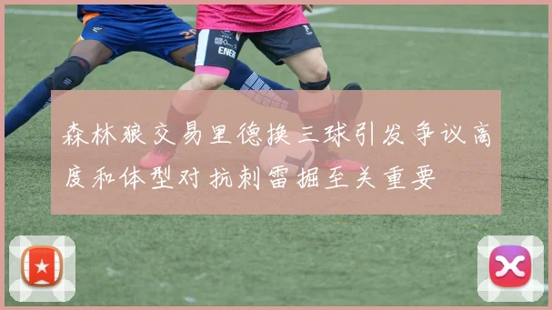 森林狼交易里德换三球引发争议高度和体型对抗刺雷掘至关重要
